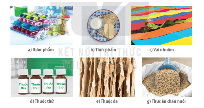 Các sản phẩm trong hình trên đều là những ví dụ về sản phẩm ứng dụng công nghệ enzym